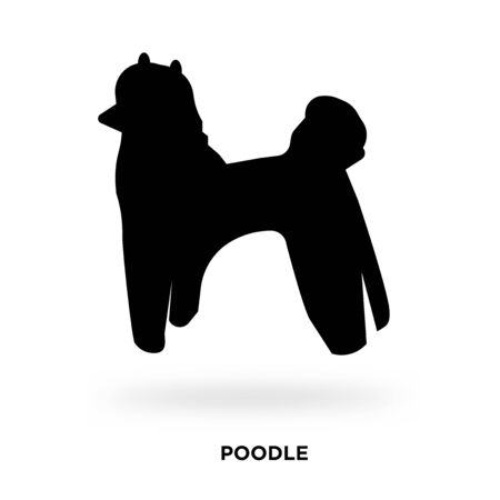 poodle silhouetteの写真素材