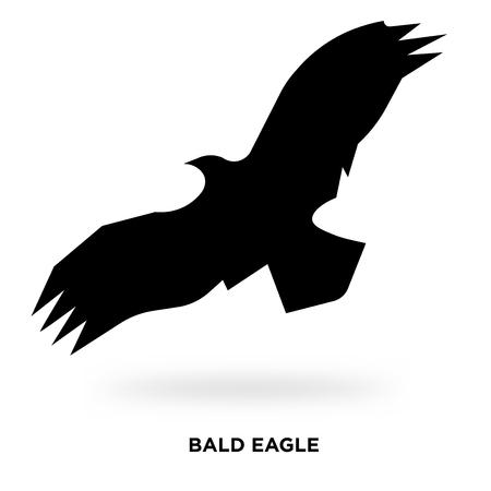 bald eagle silhouette Vector illustration.のイラスト素材