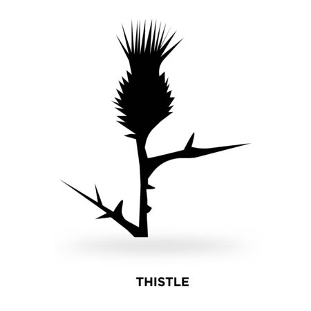 thistle silhouette Vector illustration.のイラスト素材