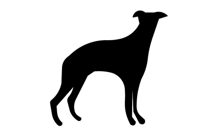 whippet silhouette on white backgroundのイラスト素材