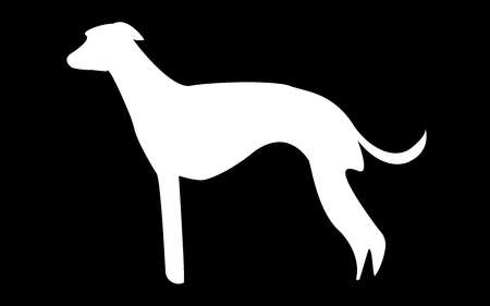 White whippet silhouette on black backgroundのイラスト素材