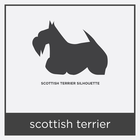Scottish terrier icon isolated on white background with gray frame, sign and symbol.のイラスト素材