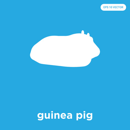 guinea pig vector icon isolated on blue background, sign and symbolのイラスト素材