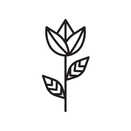 Rose icon vector isolated on white background, Rose transparent sign , thin line design elements in outline styleのイラスト素材