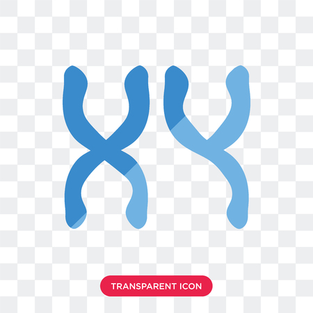 Masculine Chromosomes vector icon isolated on transparent background, Masculine Chromosomes logo conceptのイラスト素材