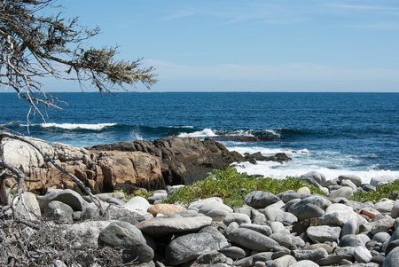 coast of Kejimujik National Part Nova Scoatia Canada with a dead treeの写真素材