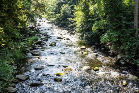 Beautiful mountain river through the woods in the sunの写真素材