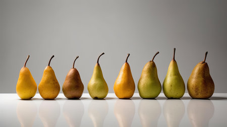 Group of pears lined up on a grey background with reflection and copy spaceの素材
