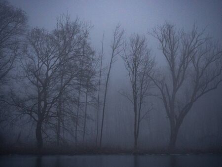 Pond in winter in a foggy forestの写真素材