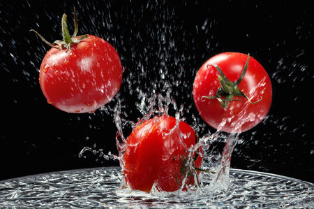 Three tomatoes. Water splashes. Shot on a black background.の写真素材