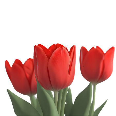 Red tulips isolated on white background. EPS 10 vector file includedの素材