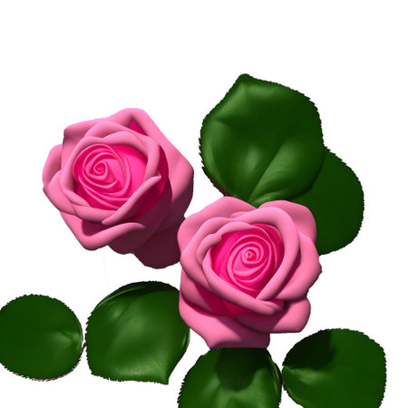 Pink roses with leaves isolated on white background. 3D illustration.の素材