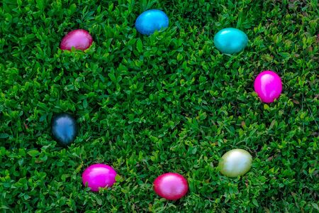 Multi-colored Easter eggs lie on the green grassの写真素材