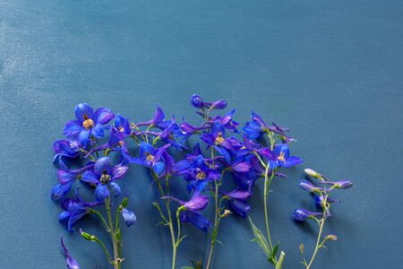 Purple flowers arrangement flat lay postcard style on turquoise wooden background.の写真素材