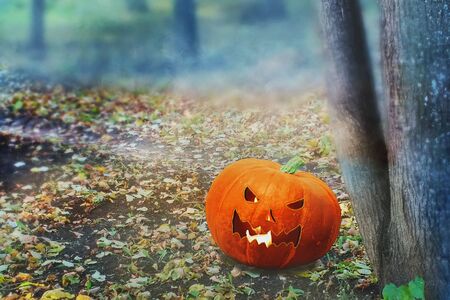 Halloween Mystical Jack O. Pumpkin lantern in a foggy forest. Spooky Halloween Poster. Halloween background wallpaper with pumpkin jack lantern.の写真素材