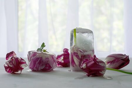 Frozen spring flowers in ice cubes on a light background. Frozen Flora. Frozen flowers. Frozen beautiful flower.の写真素材