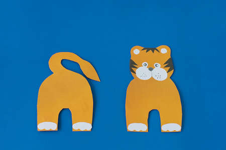 Step 5. Step by step instructions on how to make a tiger at home.