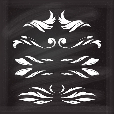 Set of elegant floral elements for your design on the chalkboard.のイラスト素材