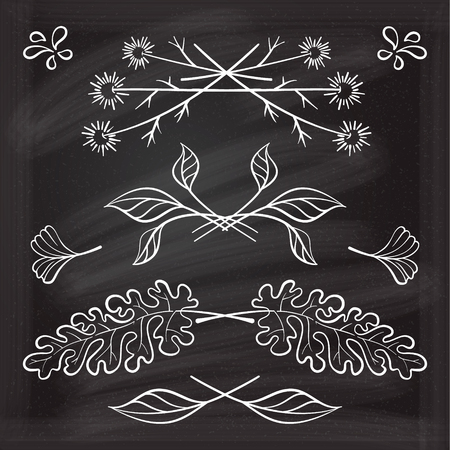 Set of hand drawn floral elements on the chalkboard.のイラスト素材