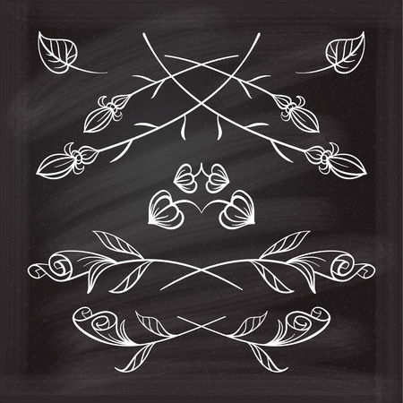 Hand drawn floral elements set on the chalkboard.のイラスト素材