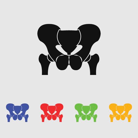 Anatomy Pelvis. Iconのイラスト素材