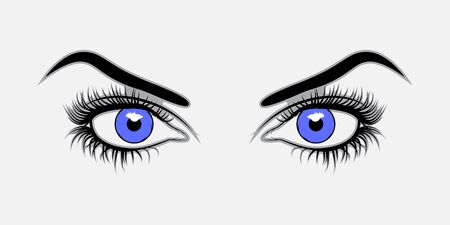 Vector illustration Blue eyesのイラスト素材