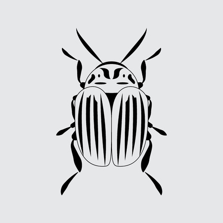 Potato or Colorado beetle symbol. Simple iconのイラスト素材