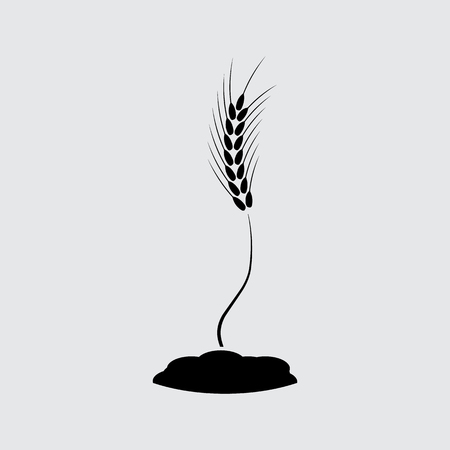wheat ears symbol vectorのイラスト素材
