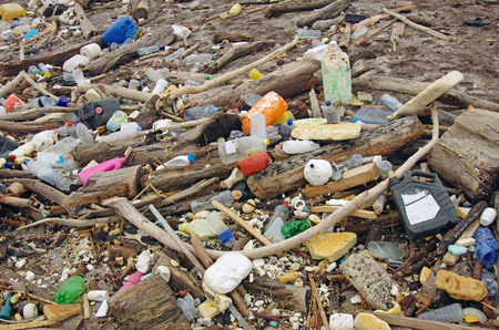 garbages, plastic, and wastes on the beach after winter storms