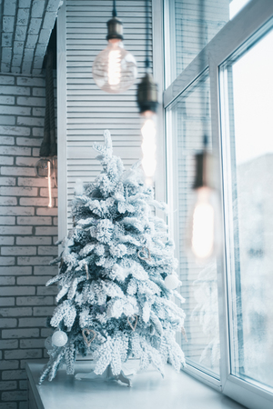 Christmas tree in the snow is on the window.の写真素材