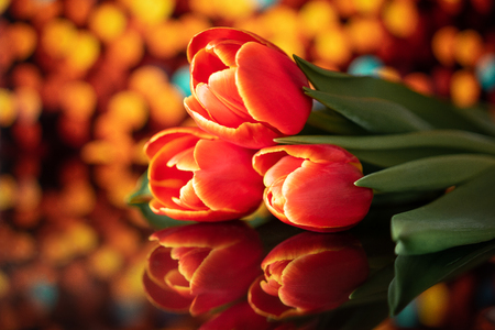 A bouquet of tulips lying on the mirror with water dropletsの写真素材