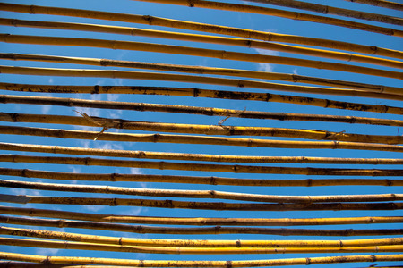 striped skyの写真素材