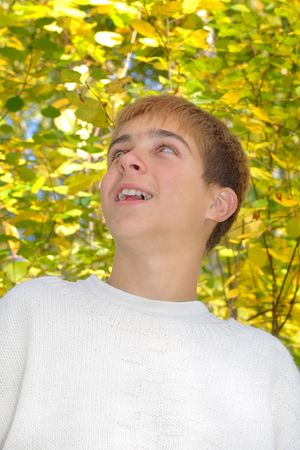 happy boy stand near the thee in autumn forestの写真素材