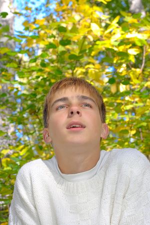 dreaming boy stand near the tree in autumn forestの写真素材