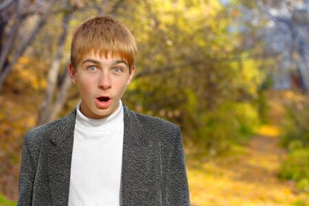 amazed surprised and shocked schoolboy at parkの写真素材