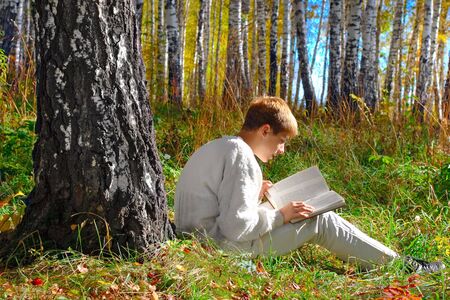 reading boy sit in autumn forest with a bookの写真素材