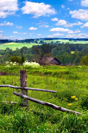 summer landscape in the country sideの写真素材