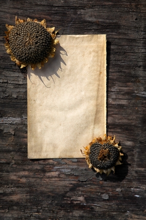 Empty Paper on Old Wooden Backgroundの写真素材