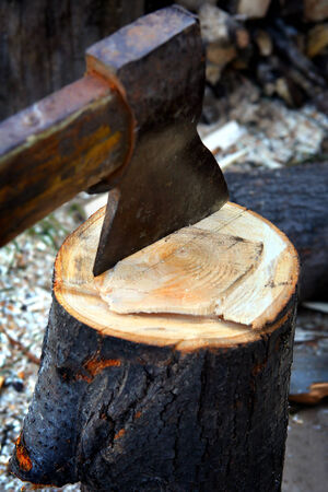 Old Axe in Stump on the nature closeupの写真素材