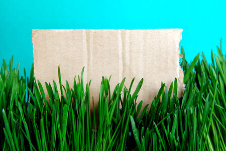 Cardboard on the Grass on the Cyan Backgroundの写真素材