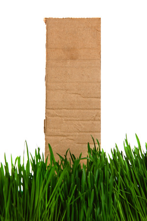 Cardboard in the Grass Isolated on the White Backgroundの写真素材
