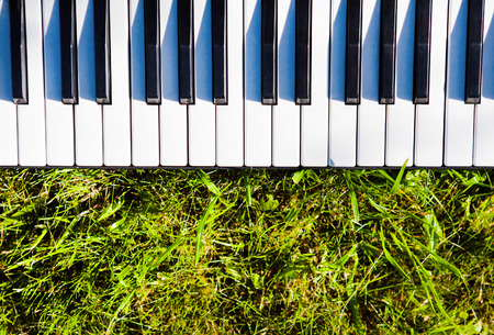 Piano Keyboard closeup on the Green Grass with a Sunlightの写真素材
