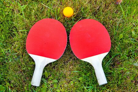 Table Tennis Kit on the Grass closeup
