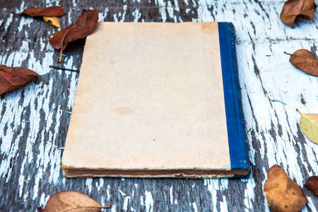 Old Book and Autumnal Leaves on the Old Wooden Table outdoor closeupの写真素材