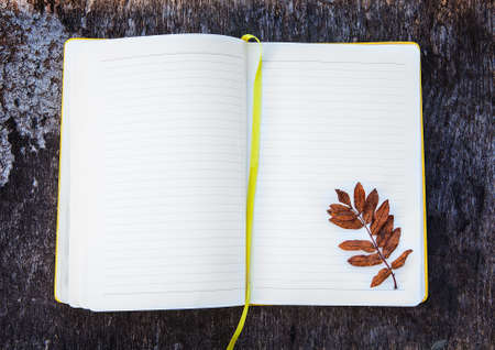 Opened Blank Notepad with a Leaf on the Grunge Background closeupの写真素材