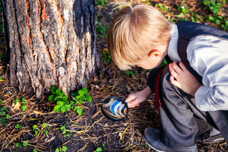 Kid with a Magnifying Glass looking on the Insect outdoorの写真素材