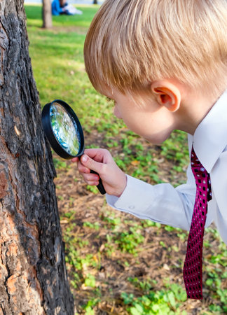 Kid with a Magnifying Glass looking on the Insect outdoorの写真素材