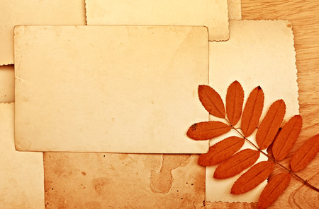 Autumnal Leaf with a Old Blank Paper closeupの写真素材