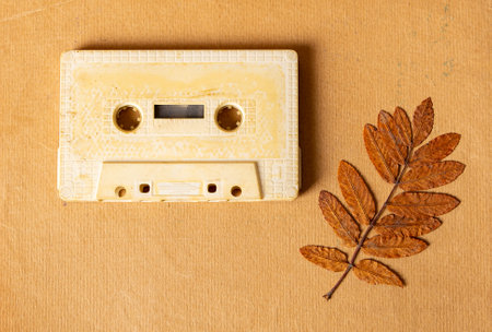 Old Audio Tape Cassette with the Autumnal Leaf on the Paper Background closeupの写真素材