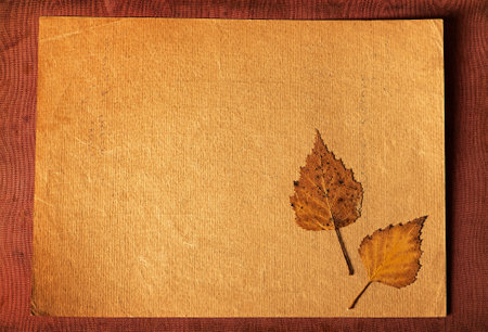 Autumnal Leaves with a Old Blank Paper closeupの写真素材